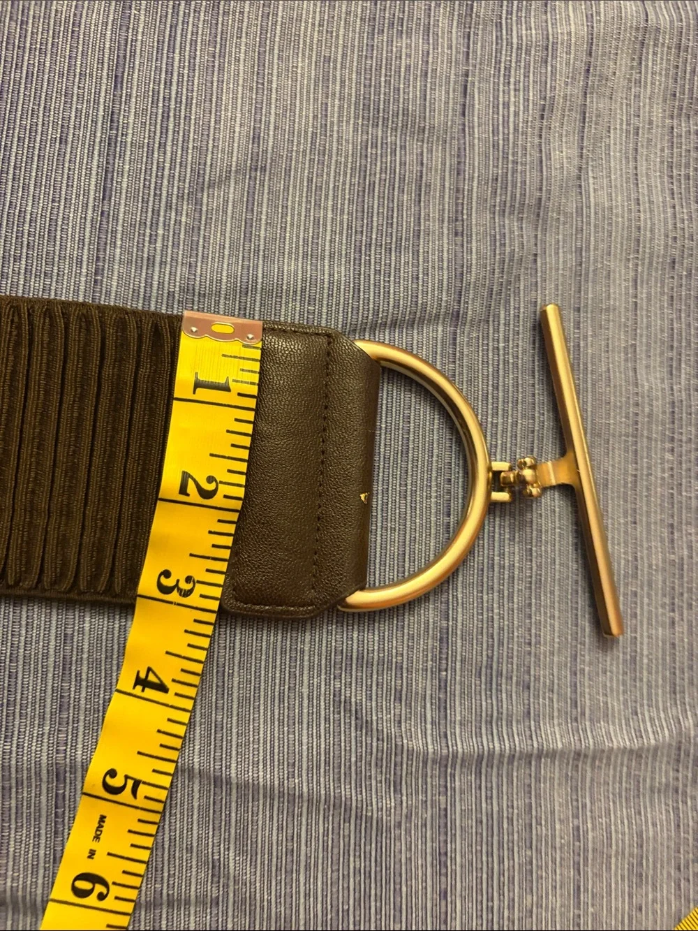 Women's Wide Elastic Belt with Gold Toggle Hardware - Brown